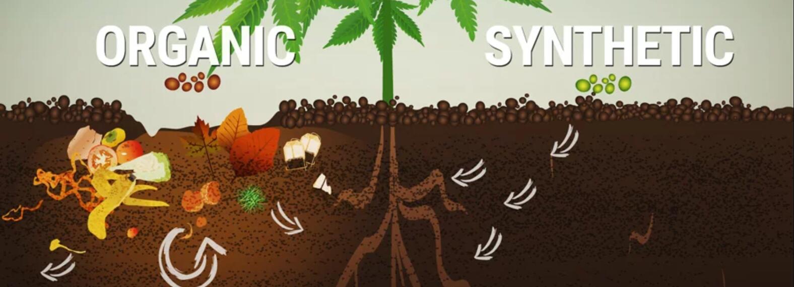 Humic acid Change the characteristics of Chemical Fertilizer