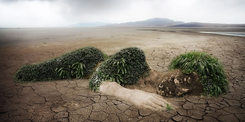 Benefits of humic acid in soil.