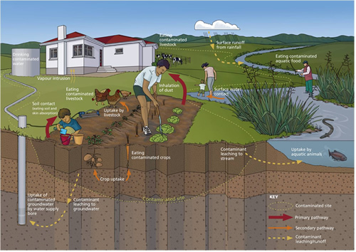 Benefits of humic acid in soil.