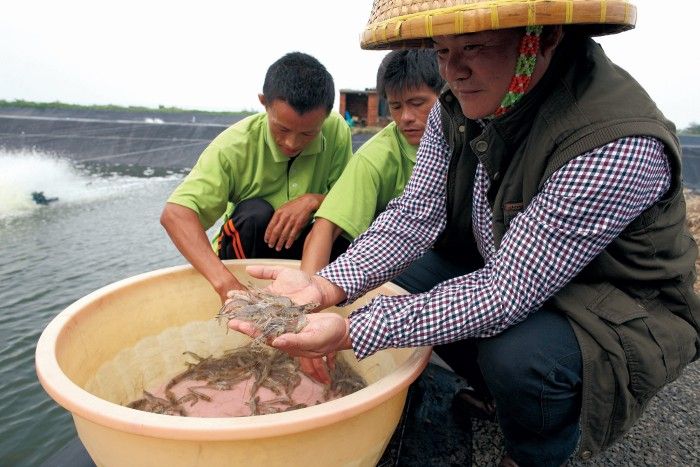 aquaculture amino acid
