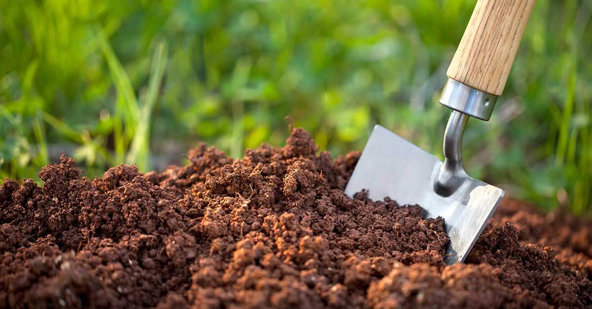 amino acid fertilizer
