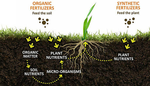 Improve the utilization rate of fertilizer, humic acid products, nitro humic acid, ammonium humate, sodium humate,potassium humate,fulvic acid,potassium fulvate