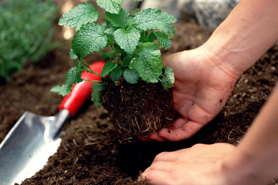 improving soil, humic acid products,nitro humic acid, ammonium humate, sodium humate,potassium humate,fulvic acid,potassium fulvate