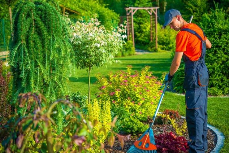 Calcium humate is an better calcium source for plant.