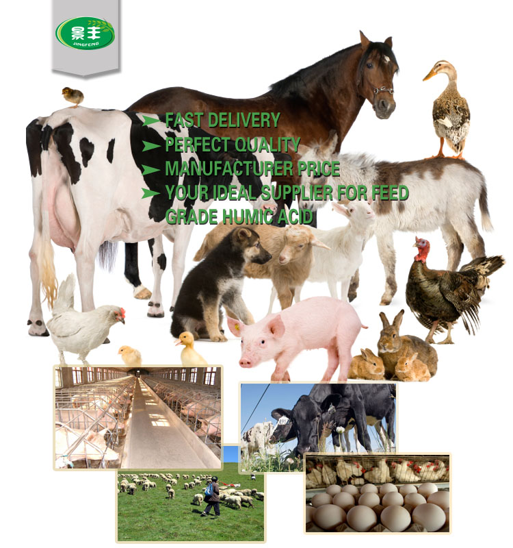 amino acid powder