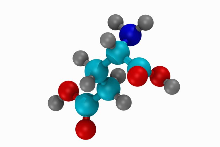 amino acid function