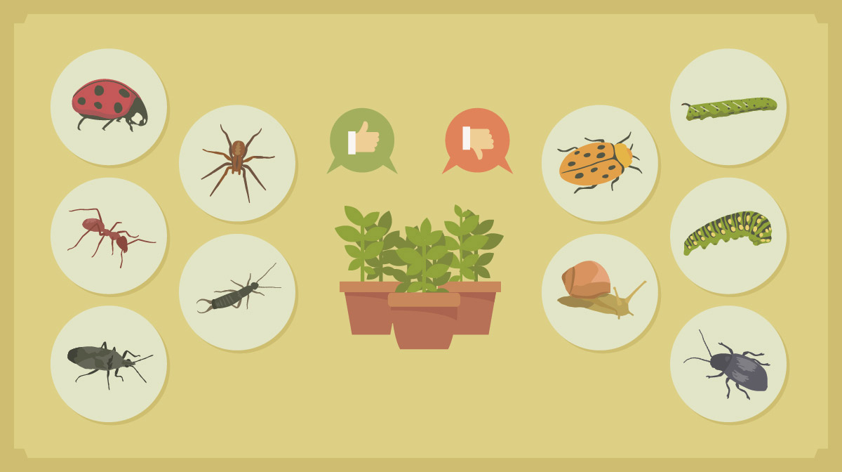 humic acid for agriculture use