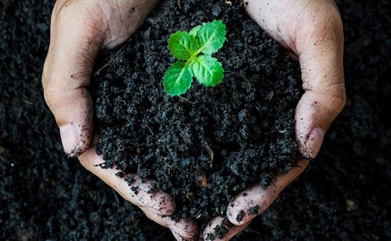 Humic acid fertilizer - the best new type of fertilizer