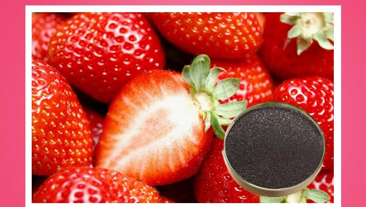 Effect of humic acid and biological fertilizer on strawberry.