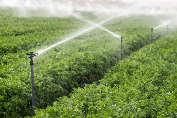 Application method and benefits of humic acid fertilizers for plants. ammonium humic acid, nitro humic acid, sodium humate, potassium humate flakes, fulvic acid fertilizer