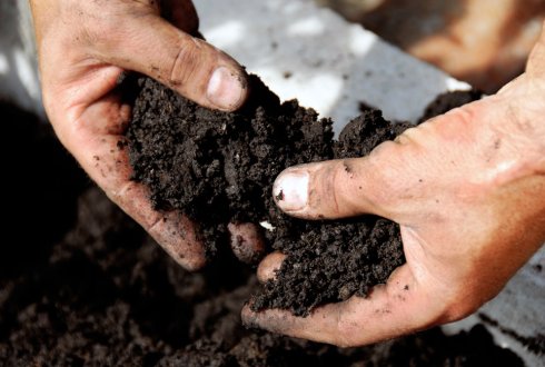 Humic acid play a good role on resistance to haze
