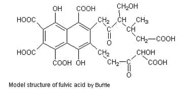 fulvic acid in plants - Model Structure of fulvid acid