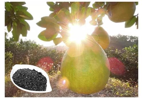 leonardite humic acid