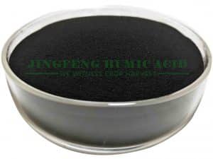 medical fulvic acid powder