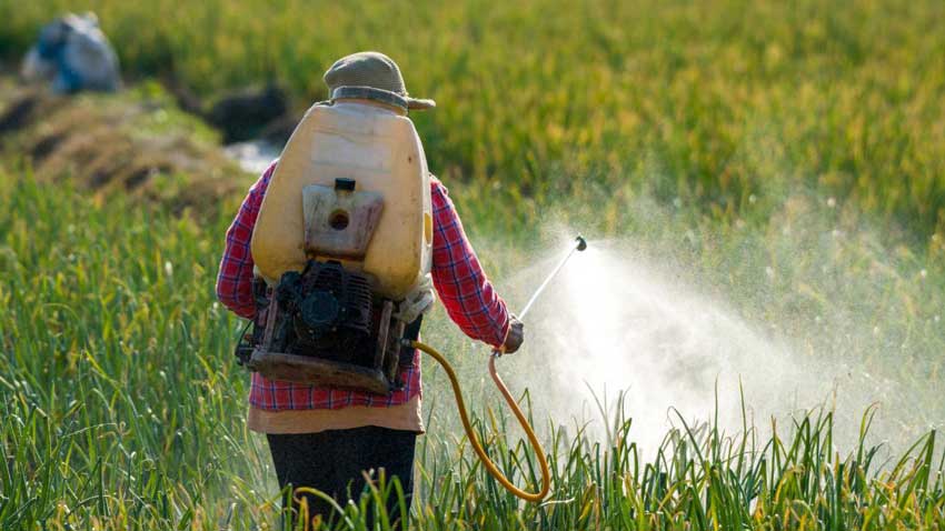 fulvic acid in plants - Slow release pesticides