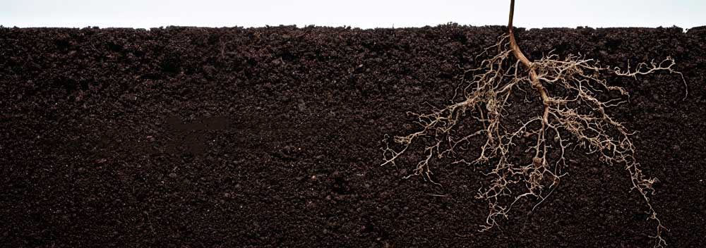Humate Soil Conditioner, Humic Soil Conditioner